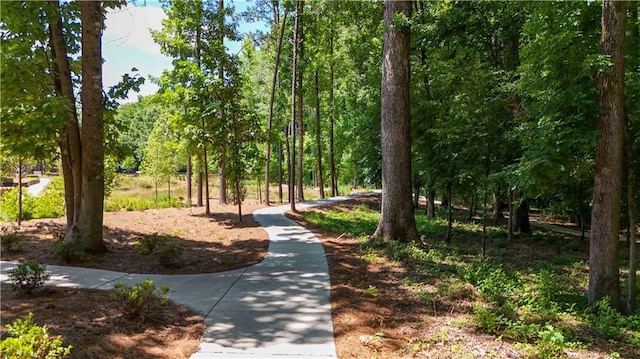 362 Olmstead Way Unit 23, Alpharetta, GA 30022 - view of home's community