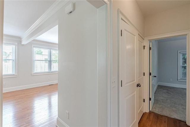 3404 Orchard St, Hapeville, GA 30354 - hall featuring wood finished floors and ornamental molding