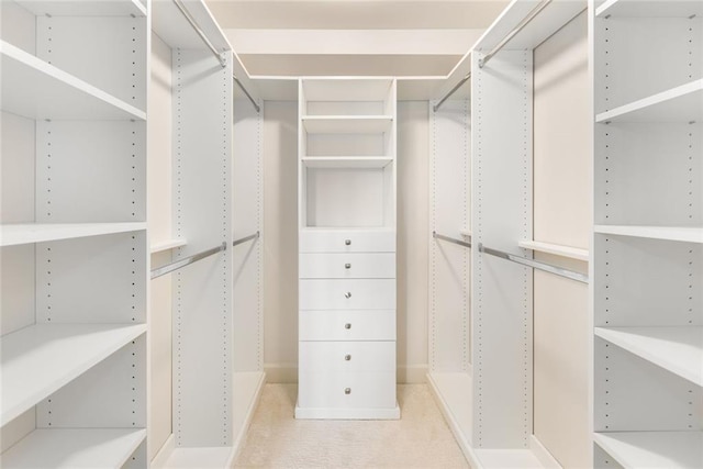 spacious closet featuring light colored carpet