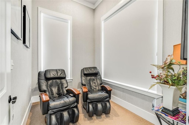 sitting room featuring baseboards and carpet