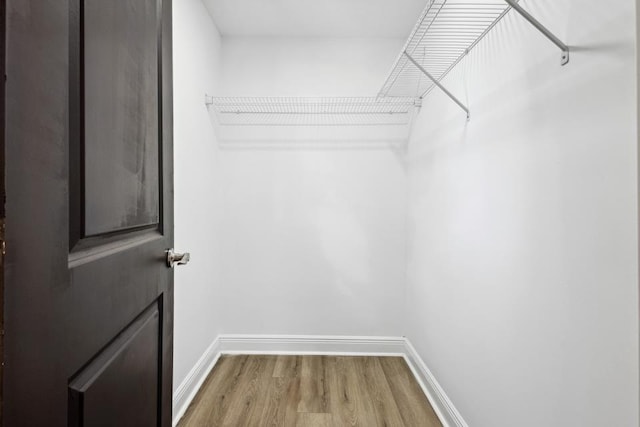 spacious closet with wood-type flooring