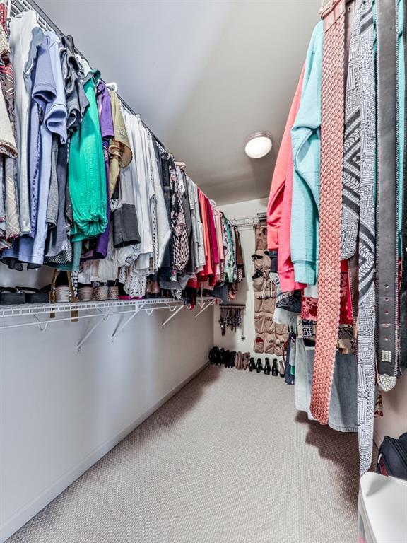 walk in closet with carpet flooring