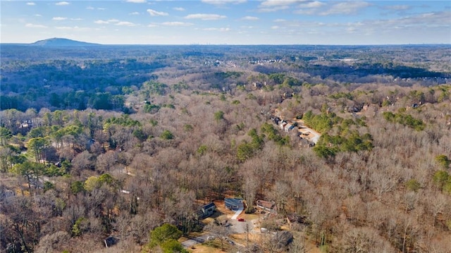 1337 Fairfield Dr, Lilburn, GA 30047 - aerial overview of property's location with a heavily wooded area