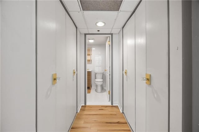 hallway with light wood-type flooring and a drop ceiling