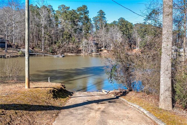 207A Quail Trl, Jackson, GA 30233 - water view featuring a boat dock