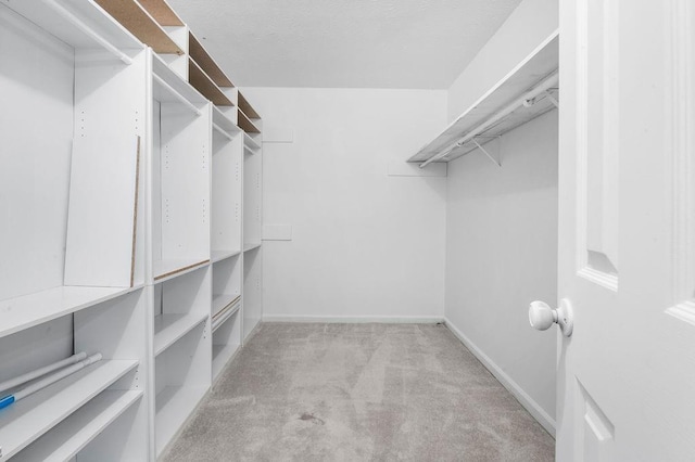 spacious closet featuring light carpet