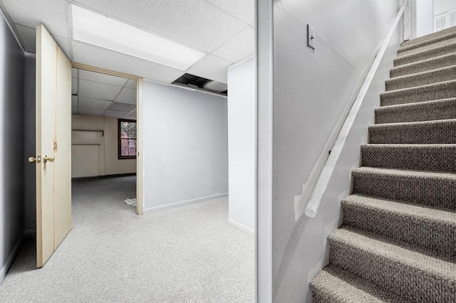 stairs featuring a paneled ceiling and carpet