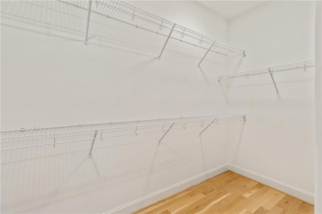 walk in closet with hardwood / wood-style floors