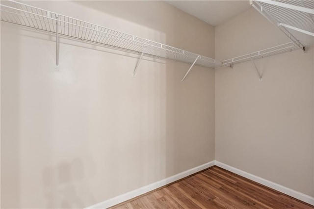 4958 Alpine Ct, Winston, GA 30187 - spacious closet featuring wood finished floors