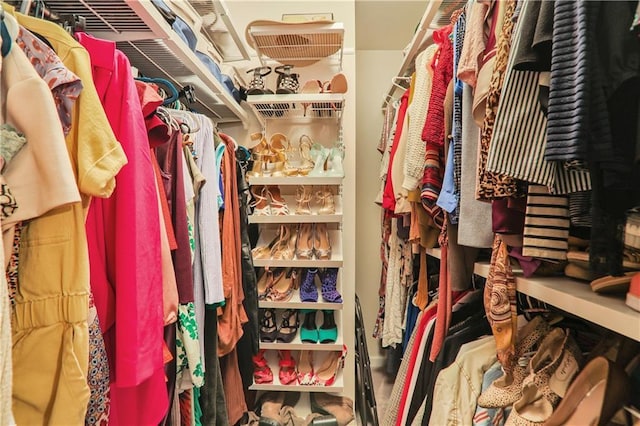 view of spacious closet