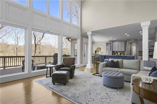 living area with a wealth of natural light, light wood-style floors, and ornate columns