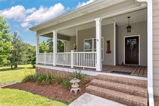 806 Skelton Rd, Hoschton, GA 30548 - entrance to property featuring a porch and a lawn