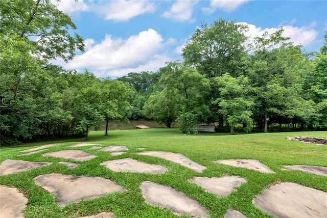 806 Skelton Rd, Hoschton, GA 30548 - view of green lawn