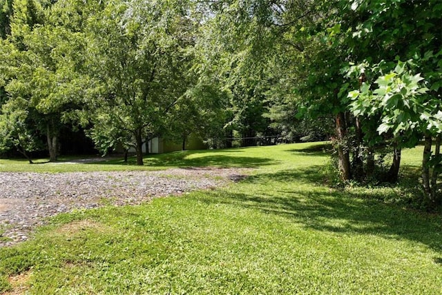 806 Skelton Rd, Hoschton, GA 30548 - view of grassy yard