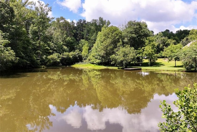 806 Skelton Rd, Hoschton, GA 30548 - water view featuring a forest