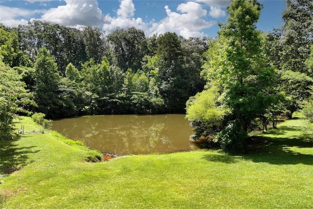 806 Skelton Rd, Hoschton, GA 30548 - water view