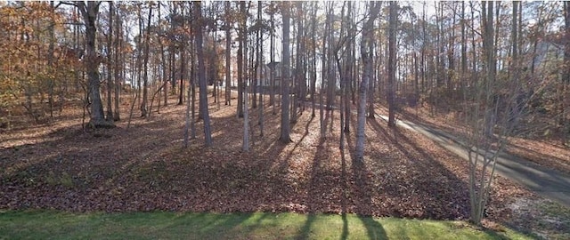180 Hightower Lake Trl, Ball Ground, GA 30107 - view of undeveloped land