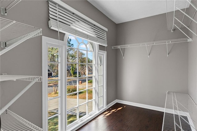 walk in closet featuring dark wood finished floors