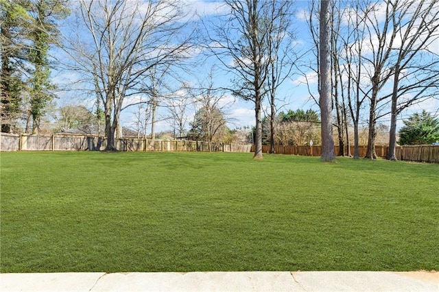 view of yard featuring a fenced backyard