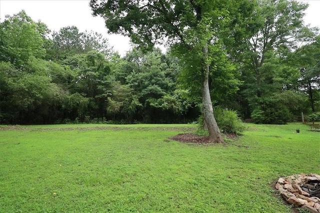236 Hiram Sudie Rd, Dallas, GA 30157 - view of green lawn