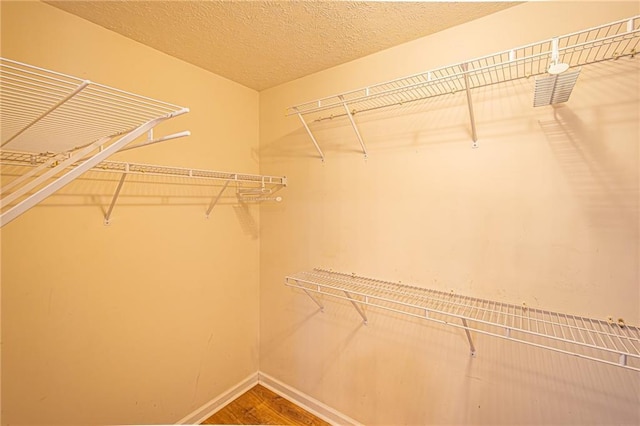 spacious closet featuring hardwood / wood-style flooring