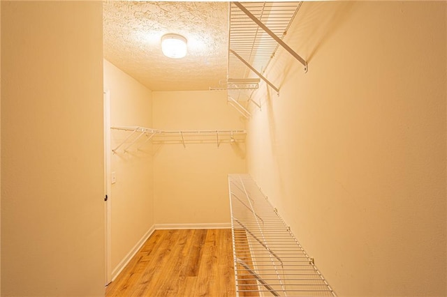 spacious closet with light wood-type flooring