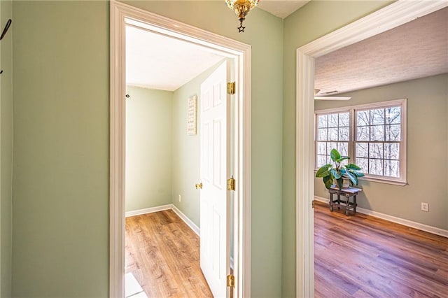 hallway with light hardwood / wood-style flooring