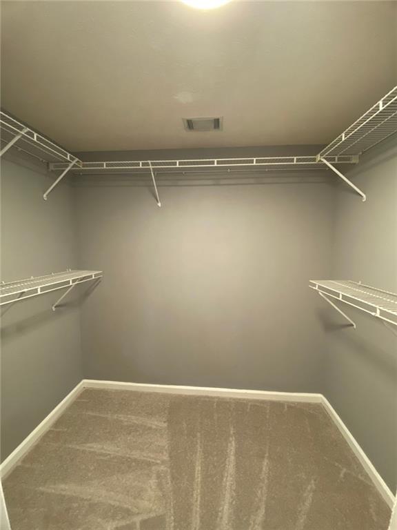 walk in closet featuring carpet flooring