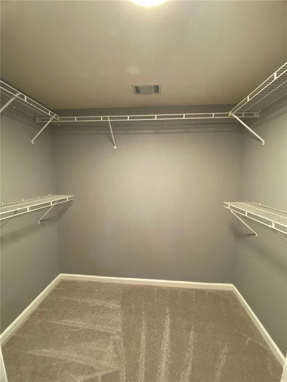 spacious closet with carpet floors