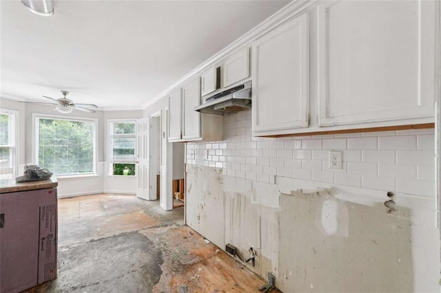 4467 Boatmans Cv, Stone Mountain, GA 30083 - kitchen with under cabinet range hood, a ceiling fan, white cabinetry, tasteful backsplash, and ornamental molding