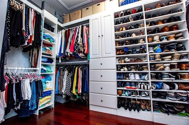 walk in closet featuring hardwood / wood-style flooring