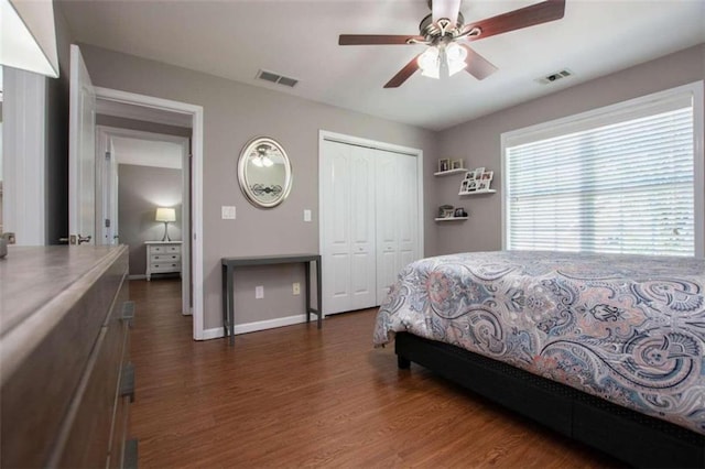 bedroom featuring ceiling fan, dark hardwood / wood-style floors, and a closet