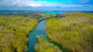 drone / aerial view with a water view and a wooded view