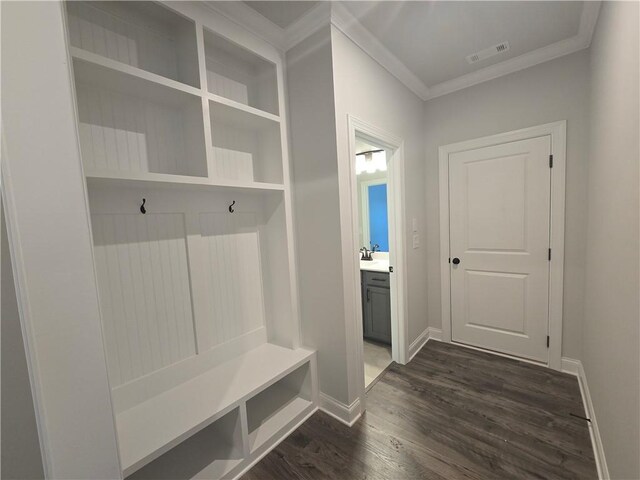 mudroom featuring dark hardwood / wood-style floors, ornamental molding, and sink