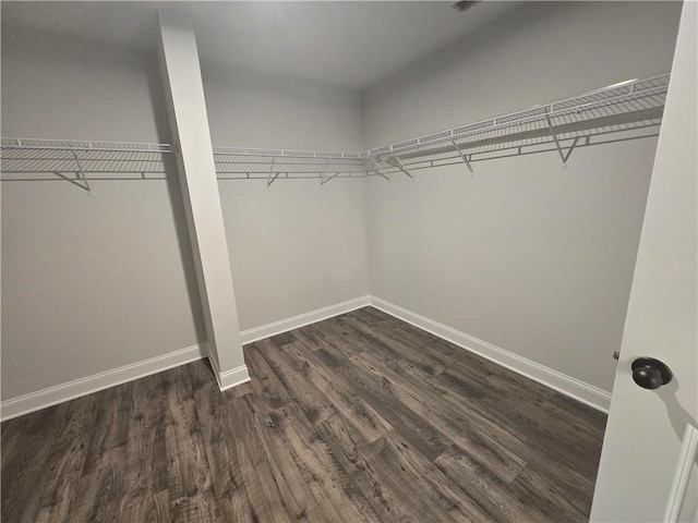 walk in closet with dark hardwood / wood-style flooring