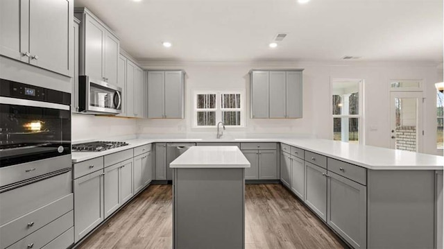 13567 Whitman Ln, Covington, GA 30014 - kitchen featuring gray cabinets, appliances with stainless steel finishes, a peninsula, a center island, and recessed lighting