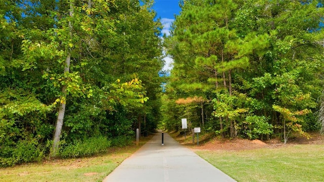 13567 Whitman Ln, Covington, GA 30014 - view of community