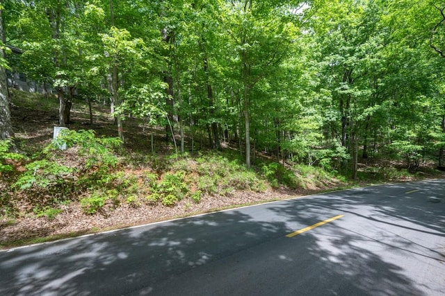 8116 Disharoon Dr, Big Canoe, GA 30143