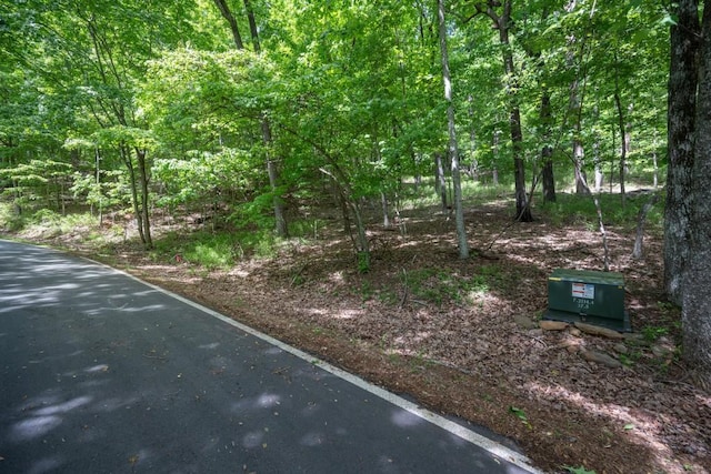 8116 Disharoon Dr, Big Canoe, GA 30143
