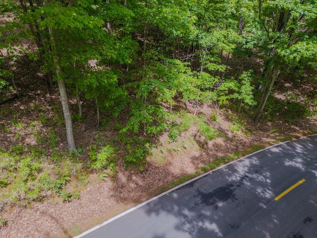 8116 Disharoon Dr, Big Canoe, GA 30143