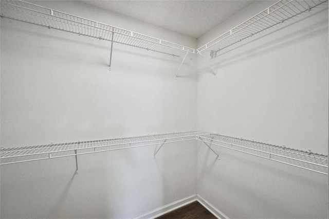 254 Barnesville Rd, Milner, GA 30257 - walk in closet featuring dark wood finished floors