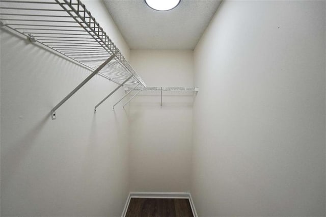 254 Barnesville Rd, Milner, GA 30257 - walk in closet with wood finished floors