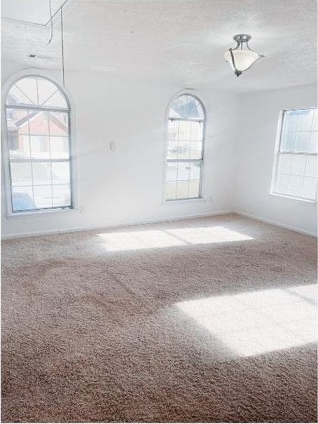 empty room featuring carpet and a textured ceiling