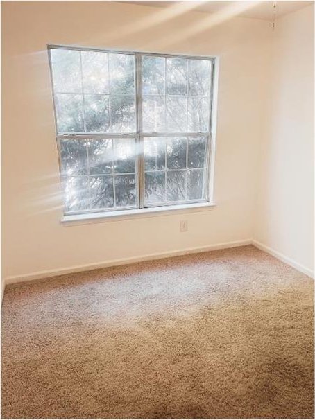 unfurnished room featuring carpet