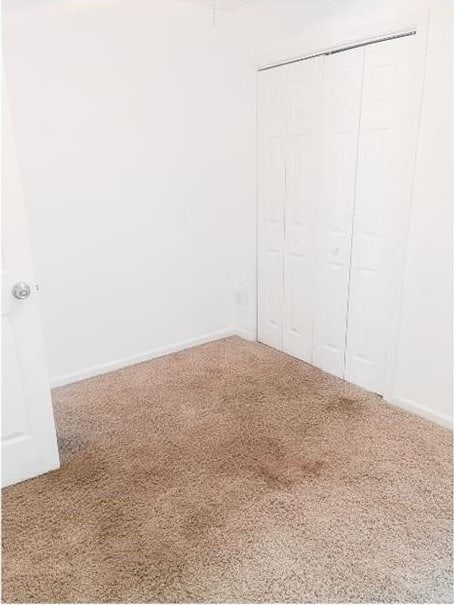 unfurnished bedroom featuring carpet flooring and a closet