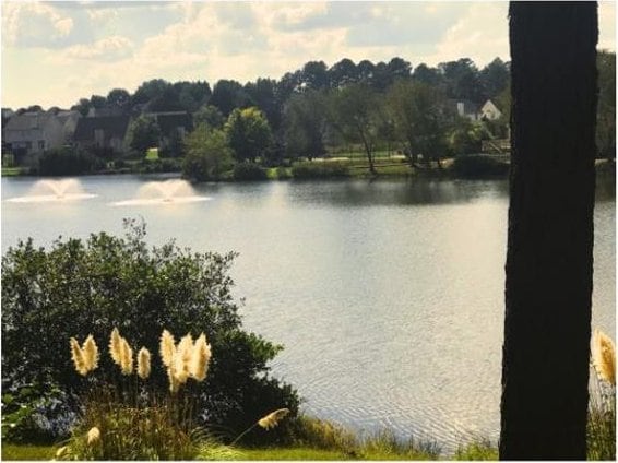 view of water feature