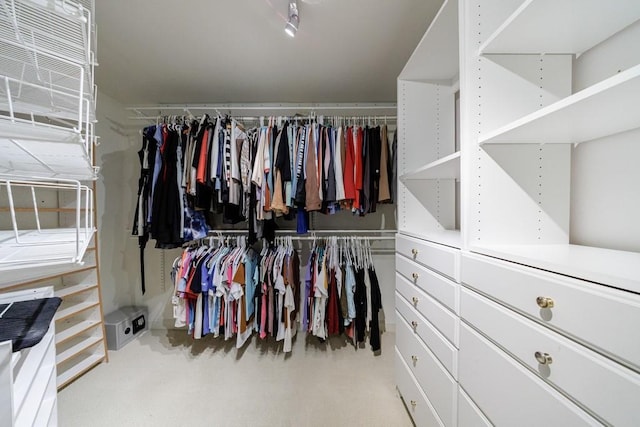 4310 Granby Way, Marietta, GA 30062 - walk in closet featuring carpet flooring