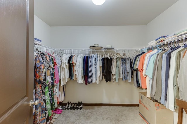 893 Whitfield Oak Rd, Auburn, GA 30011 - spacious closet with carpet floors