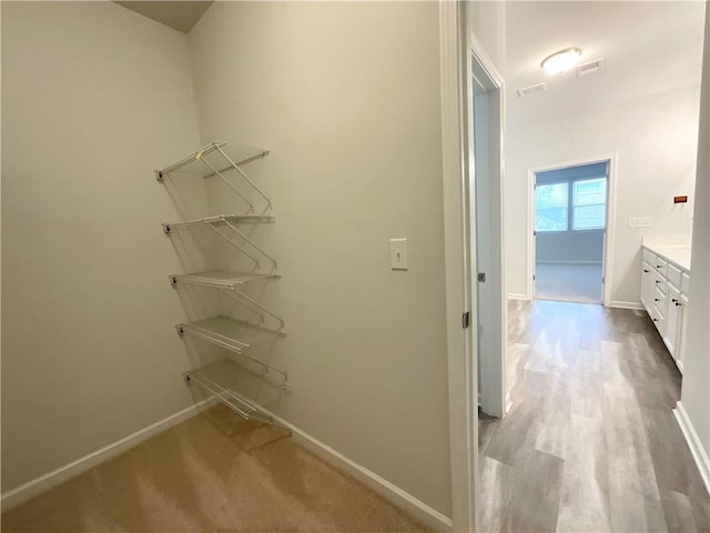 walk in closet with light wood-style flooring and visible vents