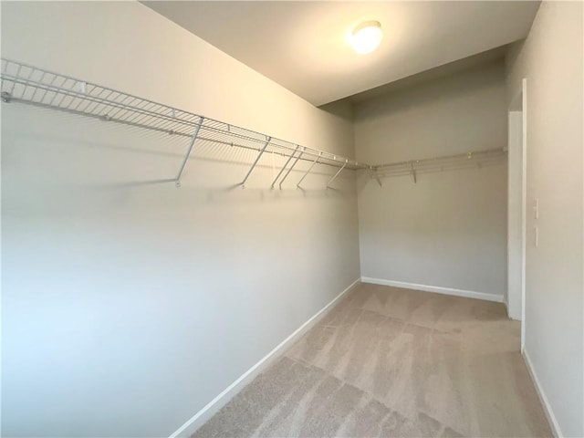 spacious closet featuring light colored carpet